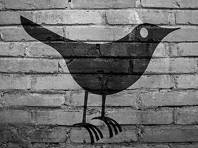 Bird Bricks animal bird black bricks building mortar simonox structure twitter wall