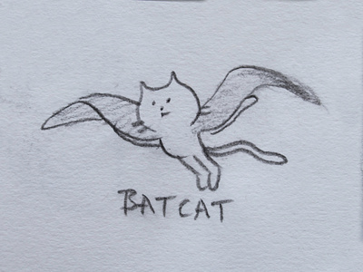 all systems go animal bat cartoon cat character design dribbble fantasy illustration mascot