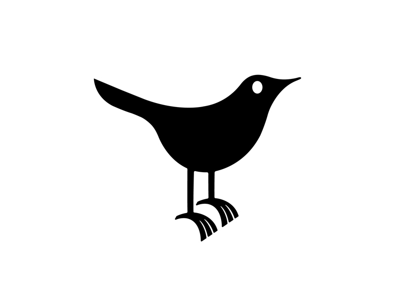 bird by Simon Oxley on Dribbble