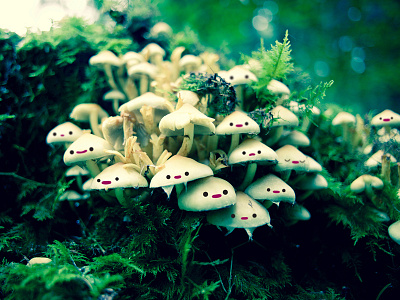 The Mush Room cartoon character design fantasy forest illustration mascot mushroom nature simon oxley