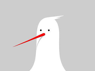 study of gull bird character design drawing illustration