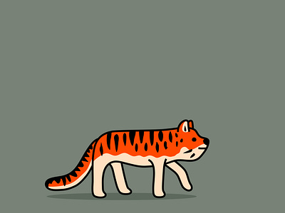 incredibly accurate tiger study africa animal asia cartoon cat character colour design dribbble fur illustration india mascot nature pattern tiger whiskers wildlife