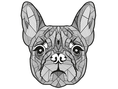 French Bulldog illustration vector
