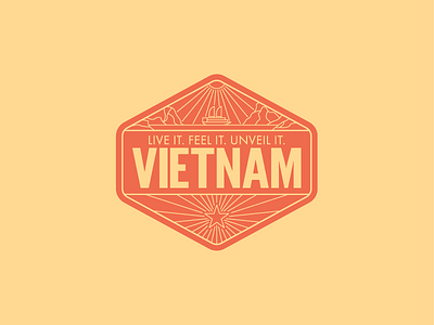 Vietnam Badge