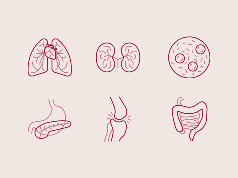 Medical Research Icons bowels inflammation diabetes pancreas blood sepsis kidneys renal lungs heart pulmonary medical
