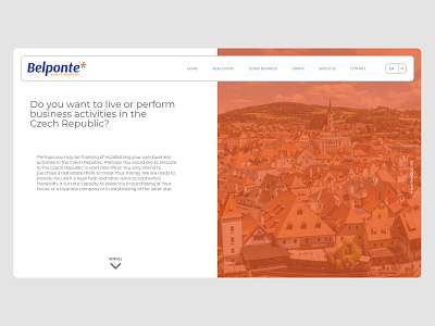 Belponte webdesign ux web webdesign website
