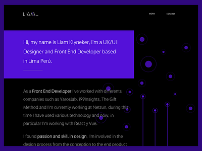 Portfolio III creative design minimal online portfolio remote ui ux vue web