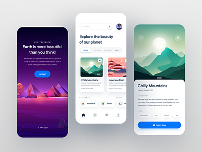 Travel Service Mobile App by Fireart Studio on Dribbble
