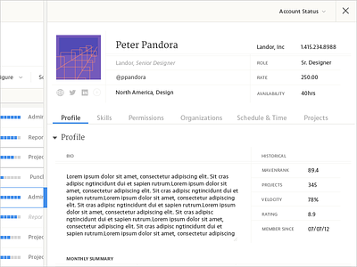 Member Detail Tabular Layout data detail panel enterprise enterprise design grid information organization panel profile table tabular ui