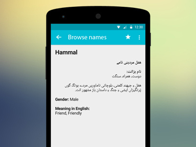 Detail Activity - Prototyping Android Names App