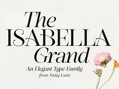 Isabella Grand Typeface archaic delicate elegance elegant elegant serif feminine fine font graceful italic oldfashioned serif type typeface typography vintage wedding