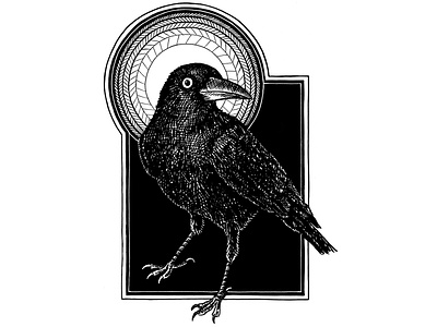 Crow animals art artwork bird black and white crow drawing hand drawn illustration ink