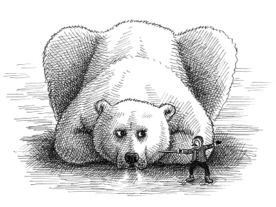 Irritated Bear animals art artist artwork bear crosshatching drawing funny hand drawn illustration ink pen and ink