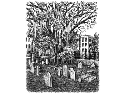 Charleston Cemetery art artist artwork black and white cat charleston drawing hand drawn illustration ink pen and ink