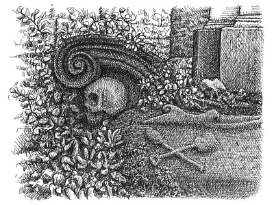 Graveyard Remnants art artist artwork cemetery drawing hand drawn illustration ink plants skeleton skull still life