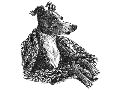 Dog Sketch animals art artist artwork crosshatching dogs drawing hand drawn illustration ink