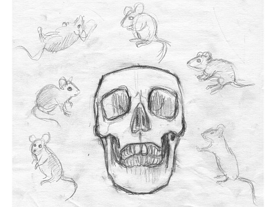 Mice and Skull Sketch art artist artwork drawing hand drawn illustration mice pencil sketch skull