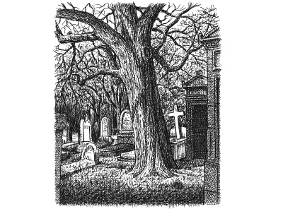 Père Lachaise Cemetery art artist artwork cemetery creepy drawing hand drawn illustration ink spooky