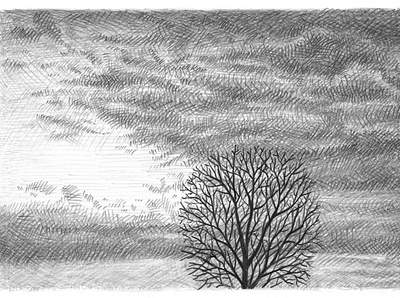 Approaching Storm art artist artwork clouds drawing hand drawn illustration ink pencil storm tree