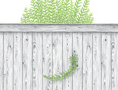 Against the Graine art artist artwork drawing fence hand drawn illustration ink pencil plant plants texture wood