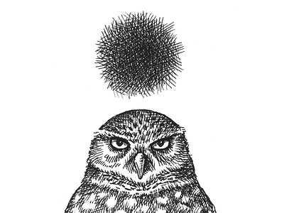 Grump animals art artist artwork bird drawing hand drawn illustration ink owl