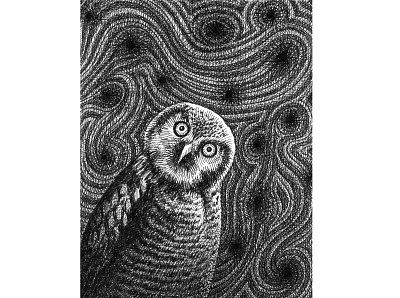 Owl Time animals art artist artwork bird drawing hand drawn illustration ink owl