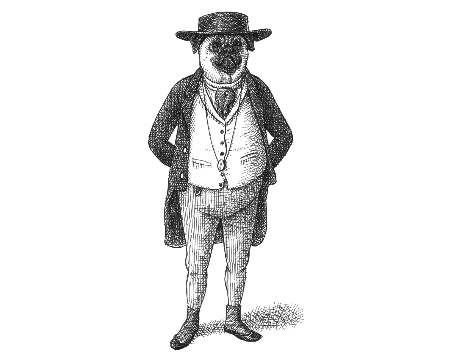 Mr. Pickwick as a Pug animals anthropomorphic art artist artwork dickens dog drawing hand drawn illustration ink pickwick pug victorian whimsical