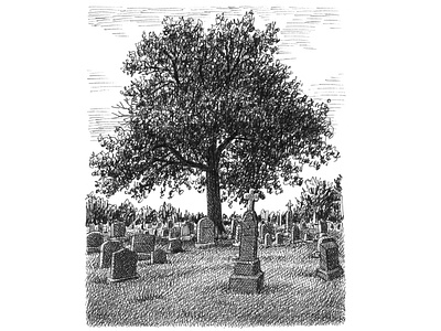 Cemetery Tree