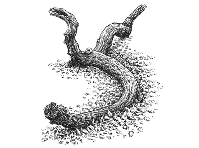 fallen tree branch drawing