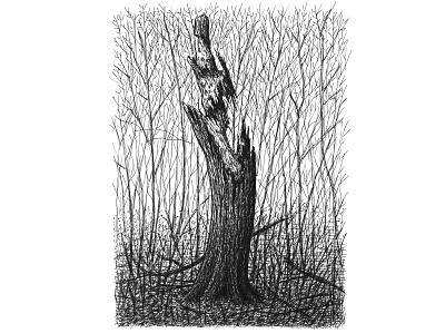 Ragged Tree Trunk art artist artwork drawing forest hand drawn illustration ink nature plants tree