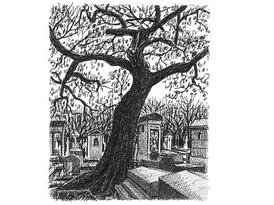 Cemetery Tree