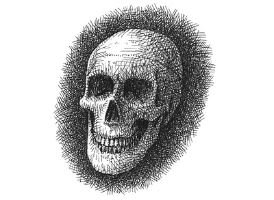 Skull Sketch art artist artwork drawing hand drawn horror illustration ink scary skeleton sketch skull
