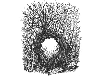 Portal art artist artwork branches drawing hand drawn illustration ink nature outdoors stump tree