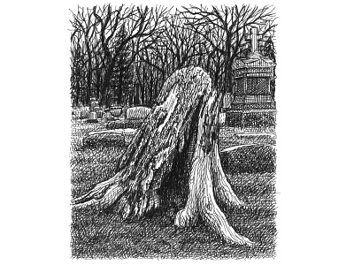 Cemetery Stump art artist artwork creepy dark drawing hand drawn horror illustration ink morbid nature scary tree