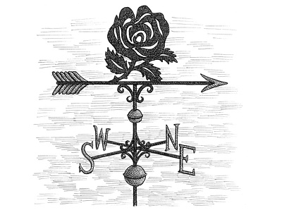 Rose Weathervane art artist artwork drawing flower hand drawn illustration ink rose weather