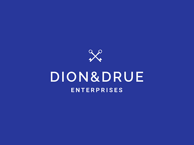 Dion and Drue Enterprises brand brand identity branding design enterprise flat icon key logo logo design modern real estate realestate type typography