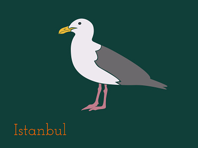 The Seagull animal bird birds design illustrator istanbul seagull seagulls turkey