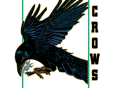 CrowZIG adobe animal illustration art crow design drawing drawings illustration illustrator logo vector