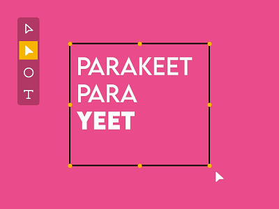 Parakeet ParaYeet design illustration typography