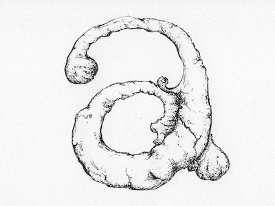 Letterform 'a' ink drawing typography