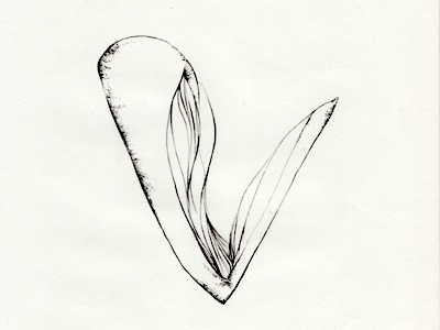 Letterform 'v' ink drawing typography