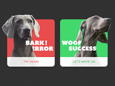 Flash Message (Error/Success) 011 dailyui dailyui.co dog error flash flash message message success