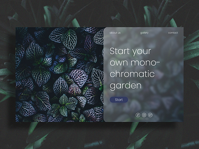 monochromatic garden UI adobe adobe xd design flower garden glass graphic minimalist monochromatic monochrome photoshop ui uidesign uiux ux ux design uxdesign web design xd xd design