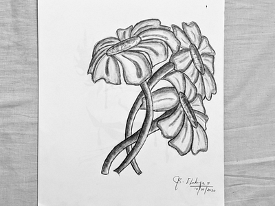 Shady Flowers art flower nature pencil sketch