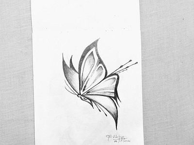 Flying Butterfly birds butterfly nature pencil sketch wings