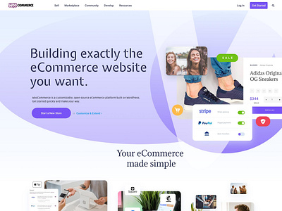 Web Template Recreation - V