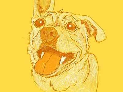 Dog Illustration dog dog illustration dogs illustration procreate puppers