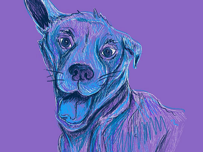 Dog Illustration 2 dog dog illustration dog logo doggo doggy dogs hand drawn illustration procreate pup