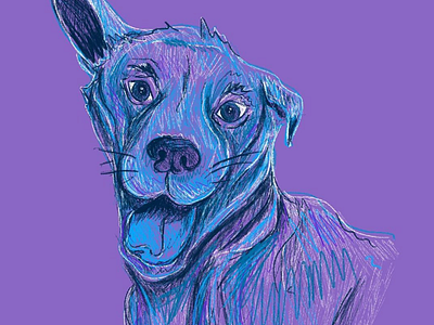 Dog Illustration 2