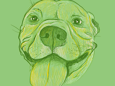 Dog Illo 3 dog dog illustration dogs illustration pet pets pibble pitbull procreate pup puppy